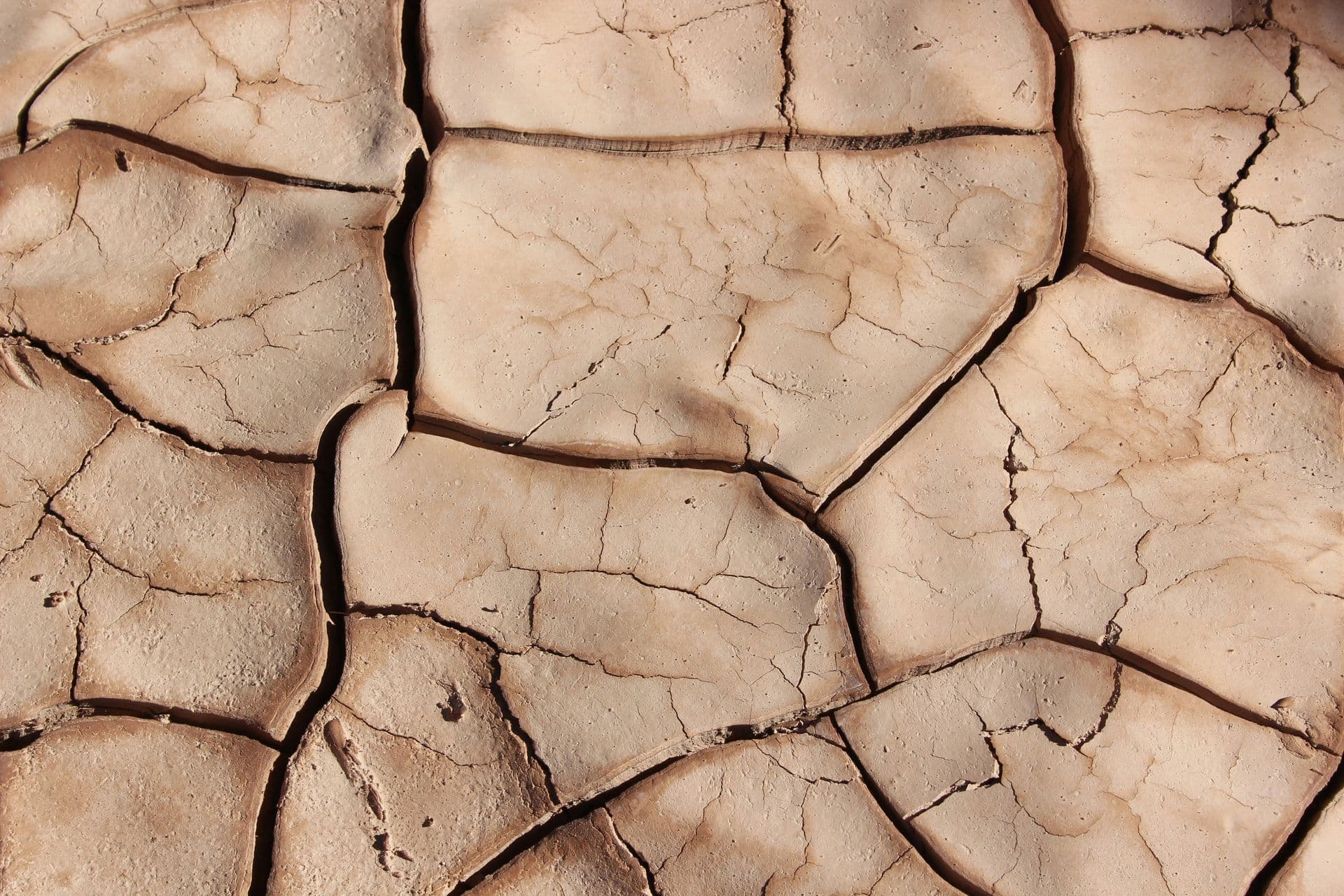 Crise alimentaire mondiale : l'urée a chuté de 850 à 392 dollars la tonne, mais l'ammoniac anhydre reste sous tension
